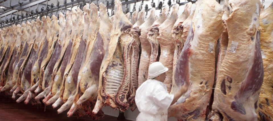 Recomposición salarial del 45% a trabajadores de la carne roja