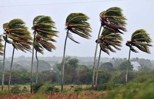 Rige alerta por vientos en la provincia
