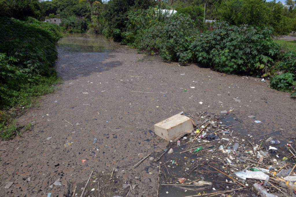 Arroyo Las Viejas: 500 voluntarios se sumaron a la limpieza