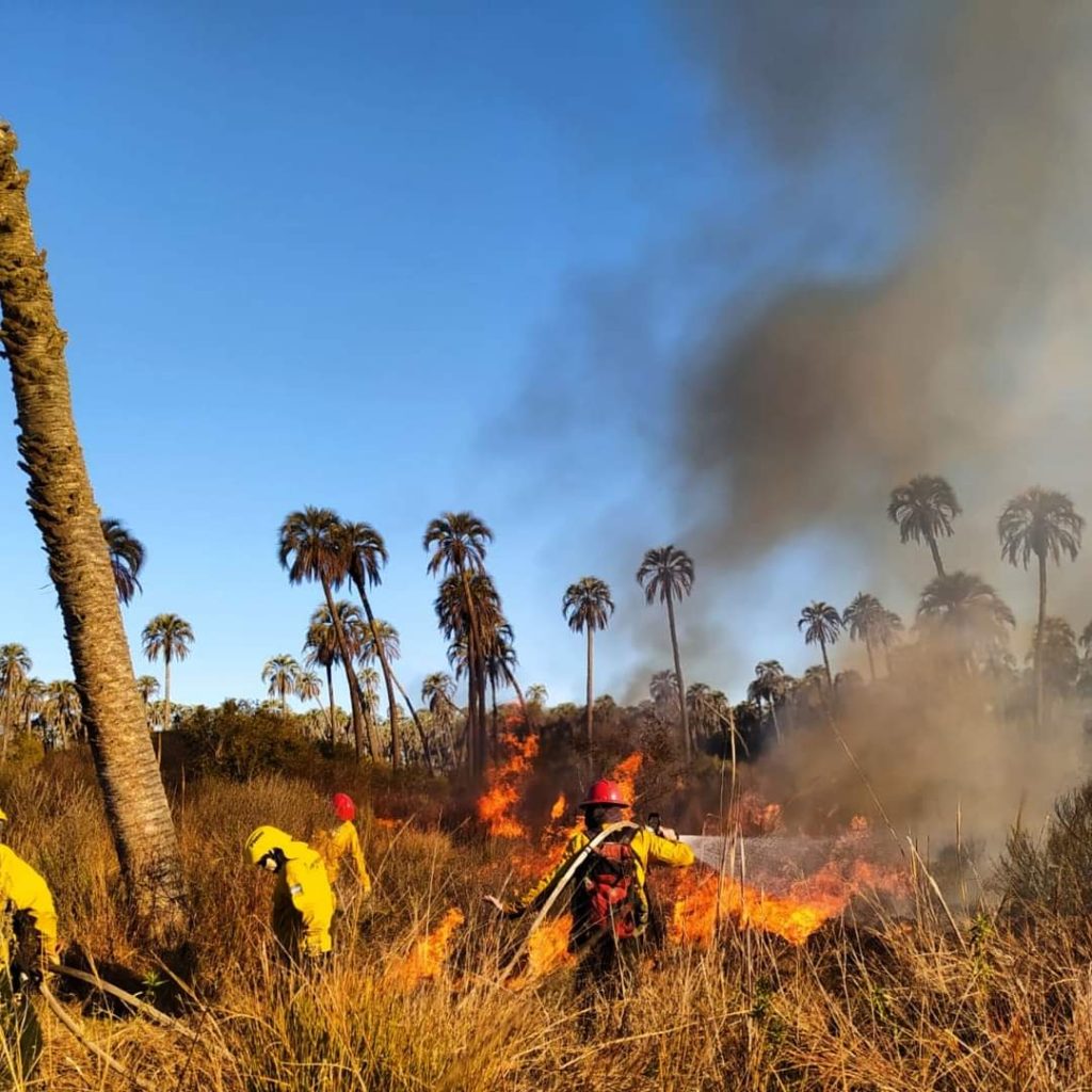 Parque Nacional el Palmar: Brigadista de incendios forestales