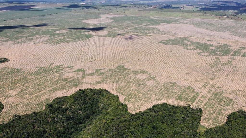 La deforestación en la Amazonía brasileña aumentó
