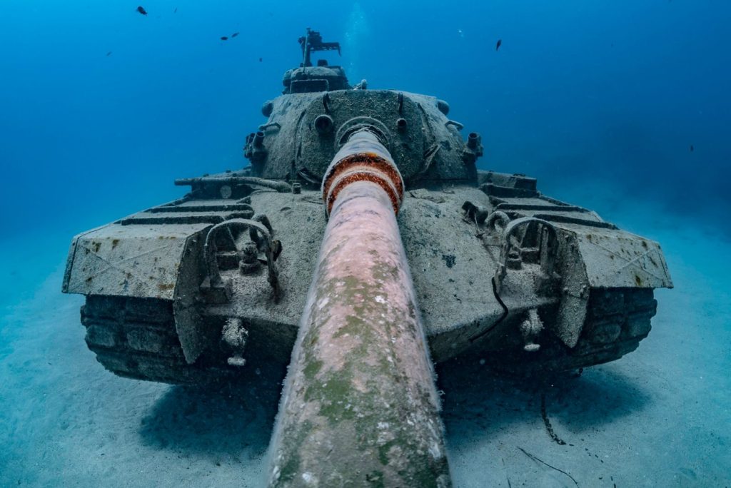 Argentinos arrasaron en el mundial de fotografía submarina