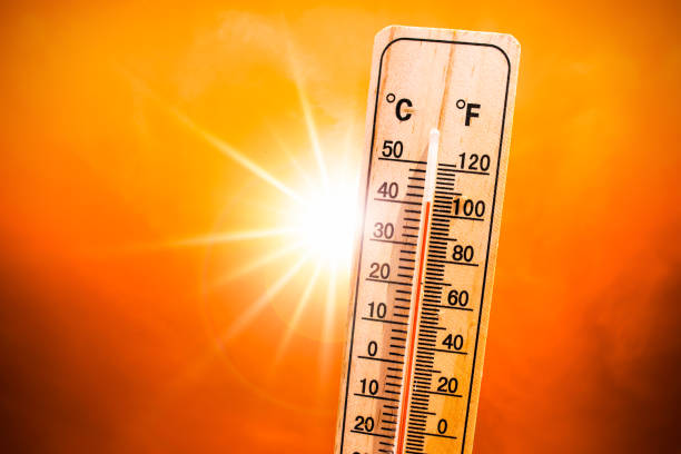 Pronostican calor en la provincia