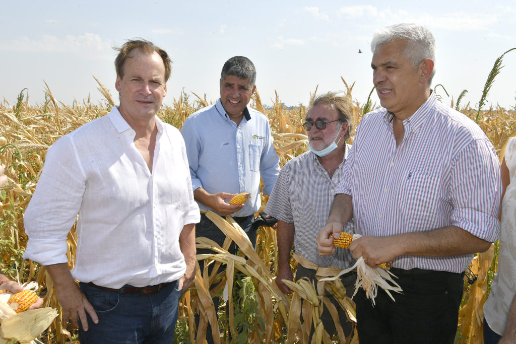 El Gobierno asistirá a productores afectados por la sequía
