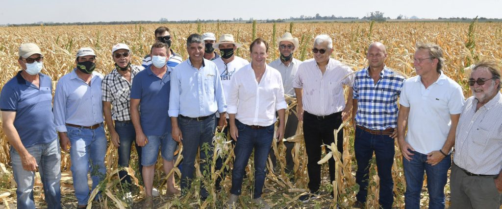 Declaran la emergencia agropecuaria en Entre Ríos