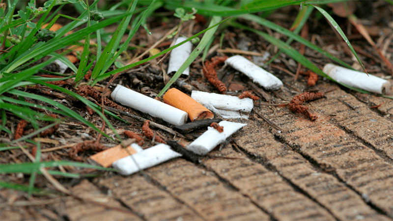 Las colillas de los cigarros son generadora de más basura tóxica
