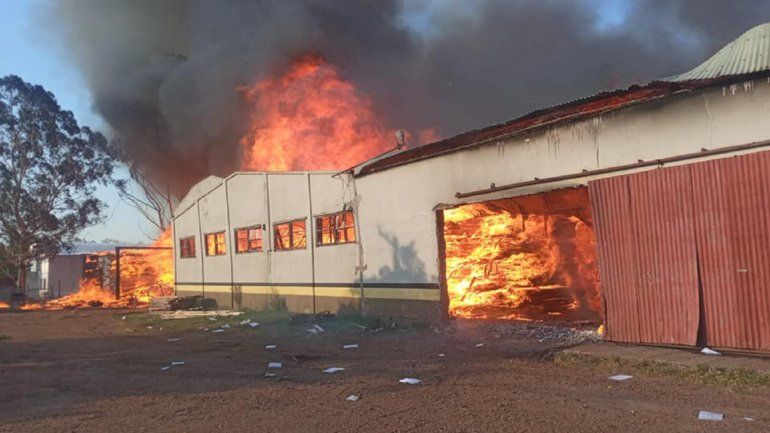 Un voraz incendio consumió un aserradero en Federación