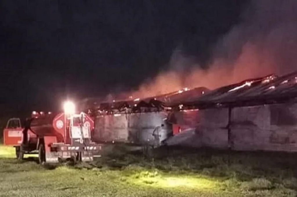 Rosario del Tala: Incendio en una granja avícola