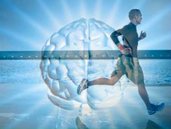 Se realizará el congreso Internacional de Deporte y Neurociencia