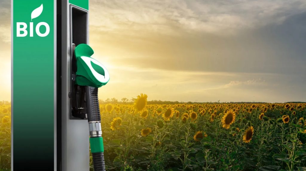 El Gobierno autorizó una suba del bioetanol ¿aumenta la nafta?