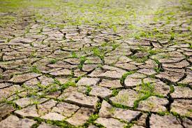 La sequía: una tragedia del país