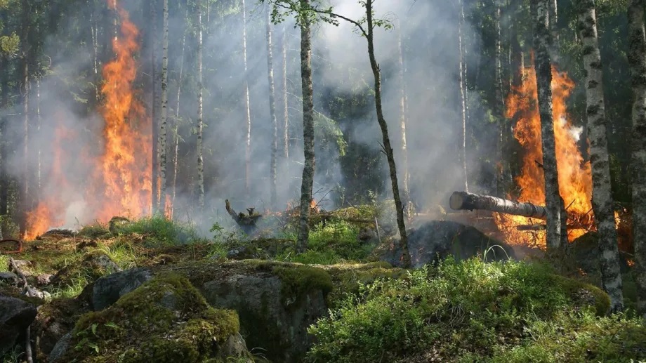Chile combate 34 incendios forestales y declaran alerta roja