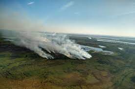 Con apoyo nacional combaten incendio en el delta