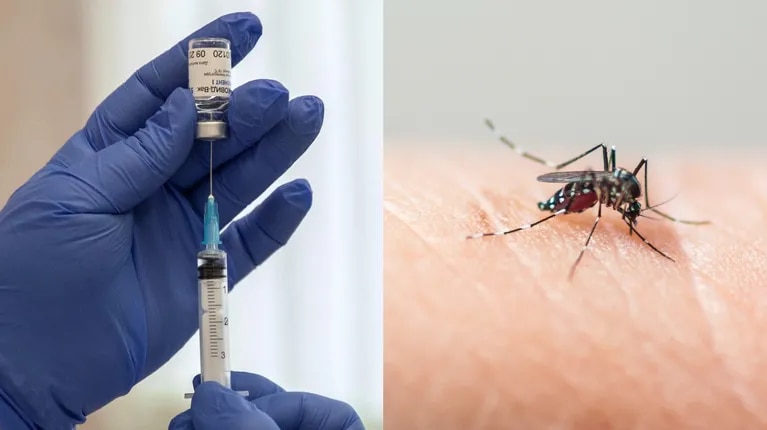 La ANMAT aprobó la vacuna contra el dengue: cuándo estará disponible en Argentina