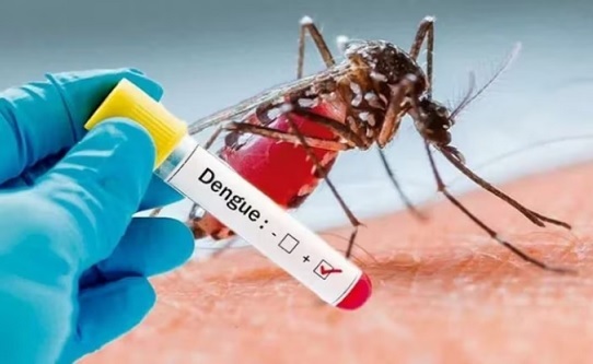 Dengue: Entre Ríos supera los mil casos entre confirmados  e investigados