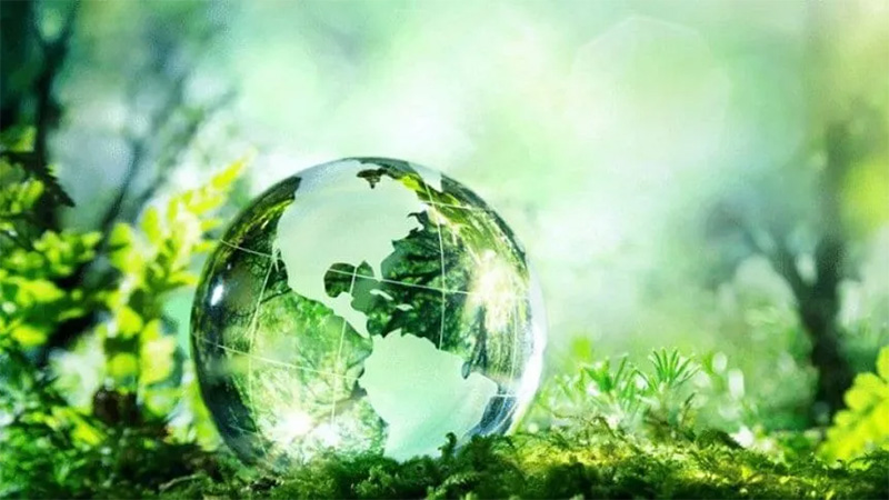 Día mundial del Medio Ambiente y el foco en la eliminación del uso de plásticos