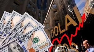 Nuevo récord: la cotización del dólar libre llegó a $560
