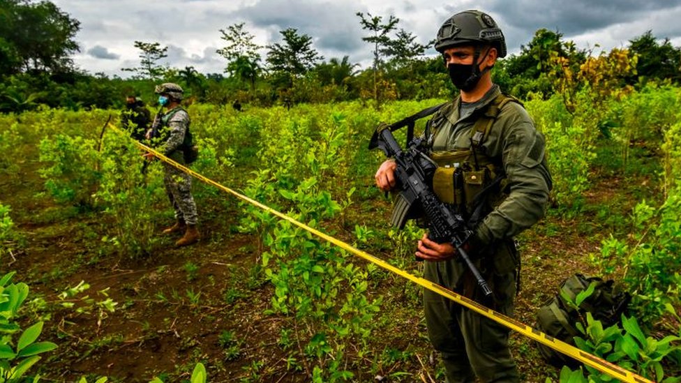 Aumenta preocupación por el incremento en la producción de cocaína en Colombia