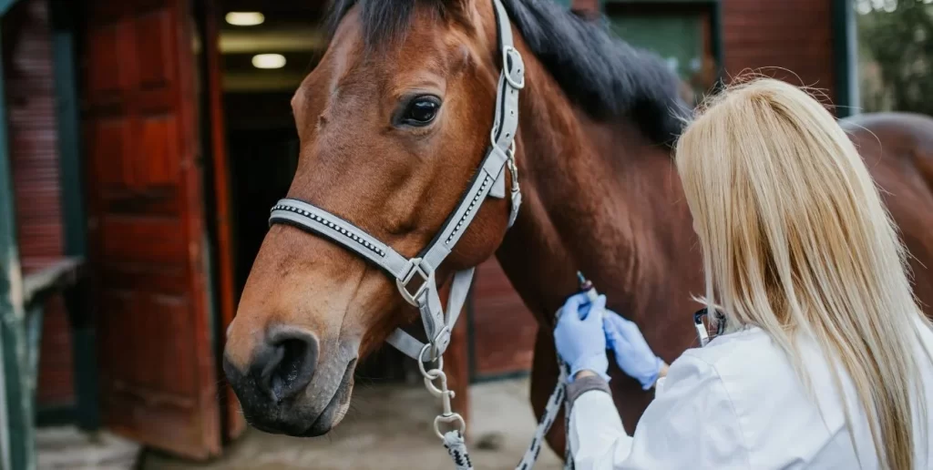 Prohibición de traslado de equinos por encefalomielitis