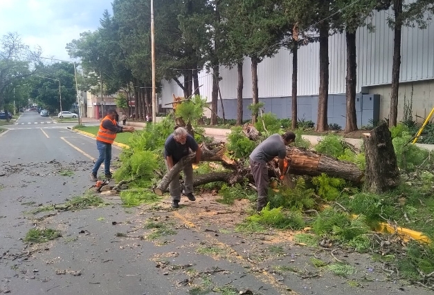 La Municipalidad de Paraná trabaja ante las consecuencias de la tormenta