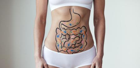La importancia de los probióticos en la salud intestinal