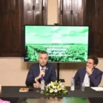 diputados