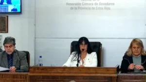 Senadores aprobaron el proyecto para crear la OSER y pasa a Diputados