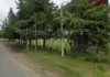 pna