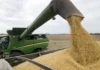 el-gobierno-busca-acelerar-la-venta-la-cosecha-soja