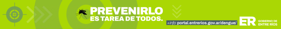 DENGUE 955x100 -3