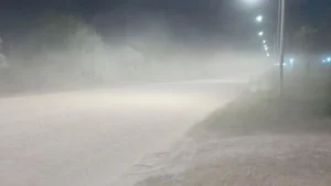 VECINOS DE UN BARRIO DE 500 VIVIENDAS RECLAMAN RIEGO EN LAS CALLES POR EL POLVO Y EL ABANDONO