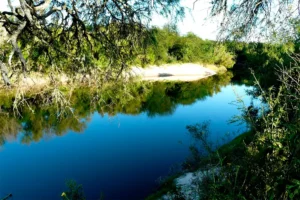 VUELVEN LAS VISITAS EDUCATIVAS AL PARQUE ESCOLAR RURAL ENRIQUE BERDUC