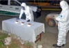 SECUESTRAN FENTANILO EN CORRIENTES: PRIMER CASO DETECTADO Y BAJO INVESTIGACIÓN FEDERAL gendarmeria