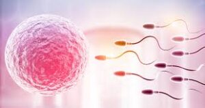 RECOMENDACIONES Y CUIDADOS A TENER EN CUENTA PARA CUIDAR LA FERTILIDAD