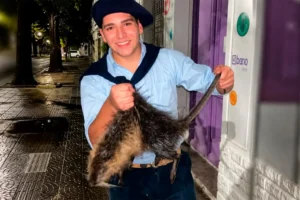 SUSPENDIERON A ESTUDIANTE DE LA UTN TRAS GRAVE CASO DE MALTRATO ANIMAL Y ENFRENTA POSIBLE EXPULSIÓN