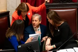 EL SENADO APROBÓ EL PLIEGO DE MICHELLI CON APOYO DEL PJ Y BLOQUES DIALOGUISTAS