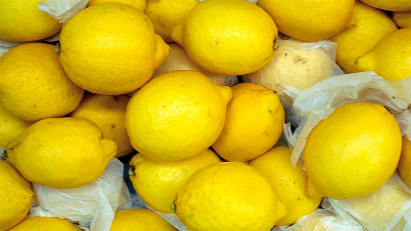 RÉCORD HISTÓRICO EN EXPORTACIONES DE LIMÓN EN EL PRIMER CUATRIMESTRE