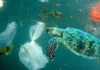 ALERTAN QUE EL LECHO MARINO ARGENTINO SE CONVIRTIÓ EN UN "SUMIDERO IRREVERSIBLE" DE RESIDUOS IMG_8287