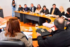 REFORMA PREVISIONAL EN ENTRE RIOS AVANZO CON DOS DICTAMENES Y SE DEBATIRA LA PROXIMA SEMANA EN EL SENADO