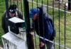 JUBILADO FUE ASALTADO TRAS UN "CUENTO DEL TÍO": LE ROBARON MÁS DE UN MILLÓN DE PESOS m_1783695688_71533