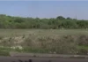 m_1785499906_79704