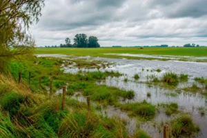 EL NIÑO CONDICIONARÁ EL FINAL DEL INVIERNO CON MÁS LLUVIAS Y TEMPERATURAS VARIABLES