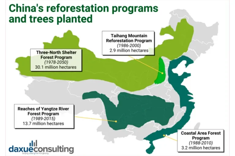 CHINA PLANTA ÁRBOLES EN EL DESIERTO DESDE HACE CASI 50 AÑOS Y TRANSFORMA EL BALANCE DE CARBONO