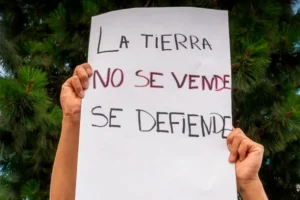 MOVILIZAN EN PARANÁ CONTRA LA LEY DE TIERRAS MIENTRAS SE DEBATE EN EL SENADO