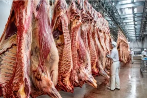 CAYÓ LA FAENA VACUNA Y EL CONSUMO DE CARNE MARCÓ SU NIVEL MÁS BAJO DEL AÑO