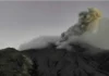 m_1786394670_67886