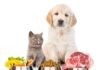 ADVIERTEN SOBRE LOS RIESGOS DE UNA MALA ALIMENTACIÓN EN PERROS Y GATOS: QUÉ DEBEN COMER Y QUÉ EVITAR images (88)