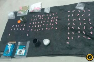 SEIS LOCALIDADES BAJO OPERATIVOS: SECUESTRARON DROGAS, DINERO Y VEHÍCULOS