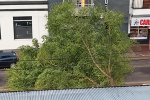 EL TEMPORAL GOLPEÓ A PARANÁ: TECHOS VOLADOS, ÁRBOLES CAÍDOS Y DAÑOS EN EL TENDIDO ELÉCTRICO