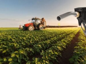 Biocombustibles: alertan por el impacto en el empleo y las economías regionales
